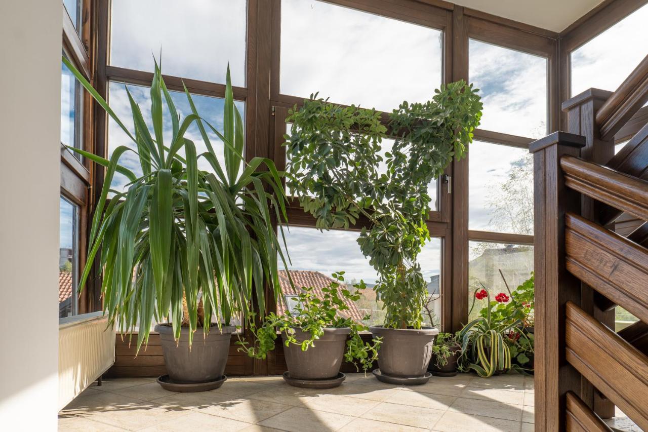 Protekal Wellness & Spa Zlatibor Buitenkant foto